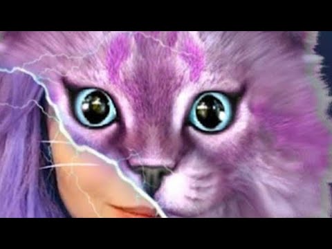 Видео: ВСЯ ПРАВДА Об ЙОШИ Или же нет 