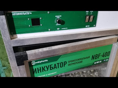 Видео: Не каждая модель NBF инкубаторов, идеальная. Вылупление птенцов, хорошее, но надо лучше!!!