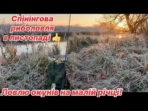 Видео: Ловлю окунів на малій річці. Спінінгова риболовля в листопаді.