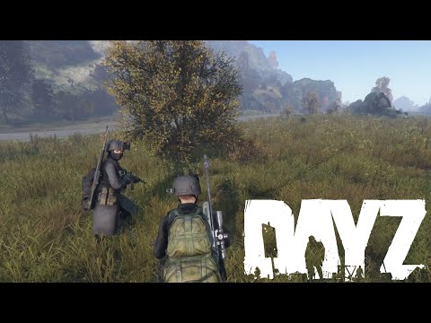 Видео: DayZ - Вайп на DZN | Лучшие моменты