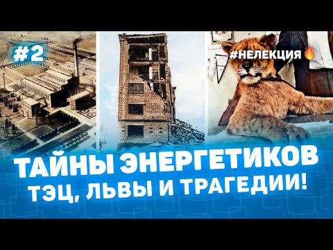Видео: ТАЙНЫ ЭНЕРГЕТИКОВ КУРГАНСКАЯ ТЭЦ, ЛЬВЫ И ТРАГЕДИИ 2!  - НЕ ЛЕКЦИЯ 🔥 фото Курган -  Мульти История