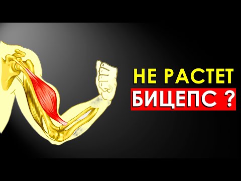 Видео: Топ 6 Ошибок из-за Которых Не Растет Бицепс (Важно Знать)