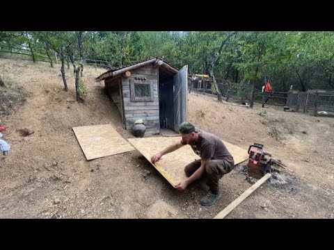 Видео: Изоляция хижины, Поиск пропавших котят, Большой шторм