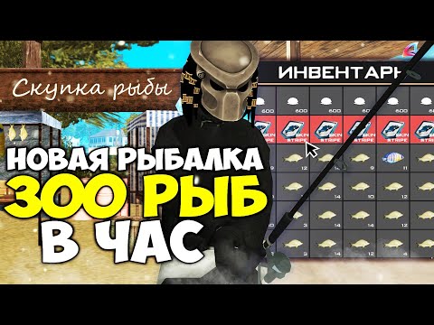 Видео: РЫБАЛКА СТАЛА ИМБОЙ 🐠 300 РЫБЫ В ЧАС и МНОГОЕ ДРУГОЕ.. (+НАШИВКА +ЭЛИКСИР) на АРИЗОНА РП в ГТА САМП