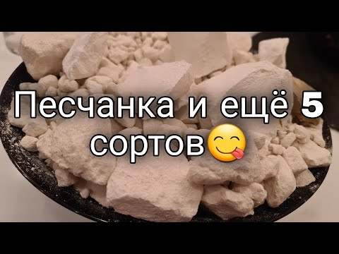 Видео: Прямой Эфир (15) Песчанка Меловой