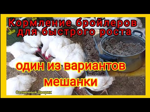 Видео: С такой мешанки бройлеры хорошо растут. Мешанка из мясокостного фарша или из мясных отходов + ...