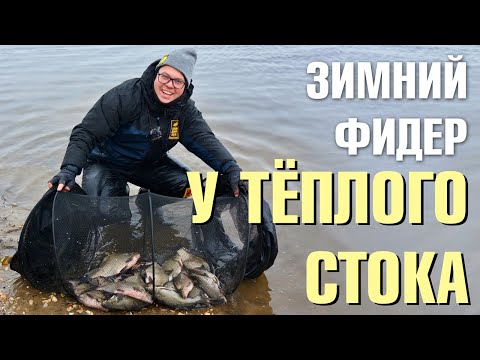 Видео: Зимний фидер у тёплого стока. Школа донной ловли.