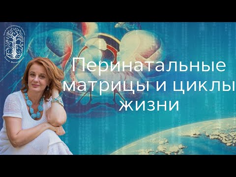 Видео: Перинатальные матрицы и циклы человеческой жизни
