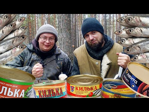 Видео: Килька в томате  - Обзор на кильку из Ленты