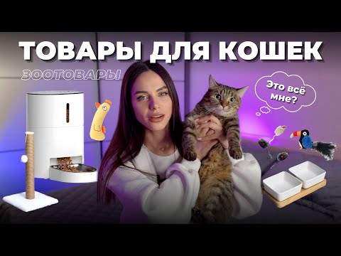 Видео: Прикольные ТОВАРЫ ДЛЯ КОШЕК - распаковка Wildberries, Aliexpress | Вещи для животных - кошки/собаки