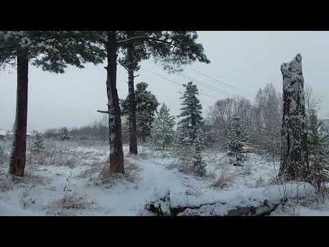 Видео: Зимняя сказка на фоне несказочной реальности