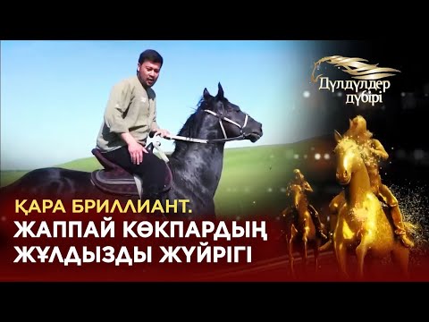 Видео: Қара бриллиант. Жаппай көкпардың жұлдызды жүйрігі. «Дүлдүлдер дүбірі»