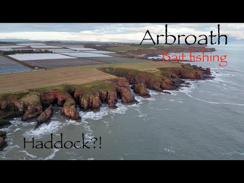 Видео: Тресковая столица страны — ловля на приманку, Арброт