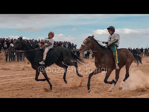 Видео: Шопандар тойы 04.10.2024/ Сайөтес ауылы/БҰЛАНҚАРА 🥇Хамза шабандоз