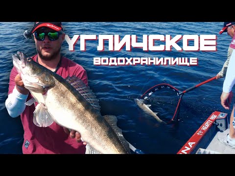 Видео: ЛОВЛЯ СУДАКА на Угличском водохранилище. Спиннинг с лодки