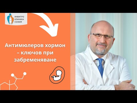 Видео: Антимюлеров хормон – ключов при забременяване