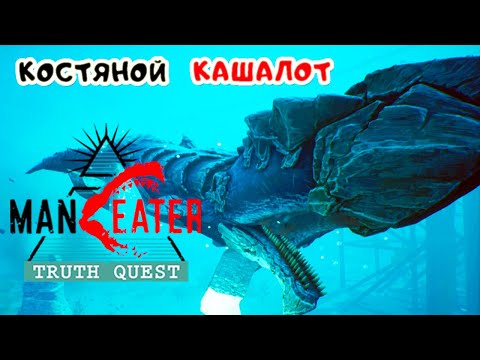 Видео: ManEater ЗОВ ПРАВДЫ #4 ➤ Кашалот КОСТЬ и СНАЙПЕРСКИЙ ВЫСТРЕЛ