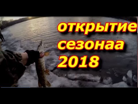 Видео: Открытие сезона спиннинга. Рыбалка весной 2018.