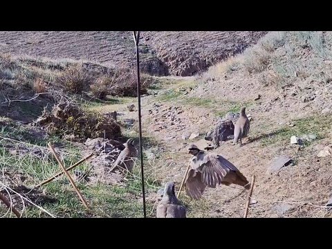 Видео: 8 ноября 2025 г.