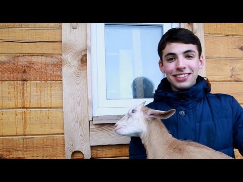 Видео: НСО LIFE. Ордынское