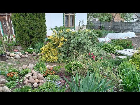 Видео: 05.05.25г.Деревенский сад, огород/🌸🌿🌷/Огурчики радуют/Помидоры на подоконнике/Рыбный суп😋