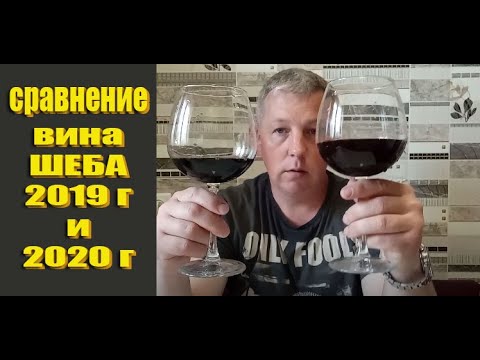 Видео: Обзор сухого вина из винограда ШЕБА 2019 г и 2020 года!