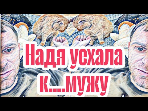 Видео: Самвел Адамян плохо им без Нади.Разучивает новую технику мурнетика.Сочувствую Сытникам😢