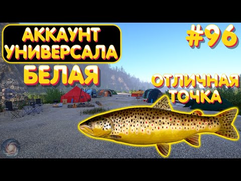 Видео: Аккаунт универсала #96 | Белая - отличная точка | Русская Рыбалка 4