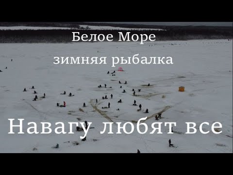 Видео: Зимняя рыбалка.  Как рыбачат в Унской губе Белого моря. Лов наваги