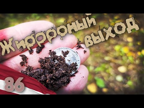 Видео: 86. Жиррррный выход.