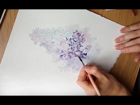 Видео: Сирень акварелью (как рисовать сложное соцветие)