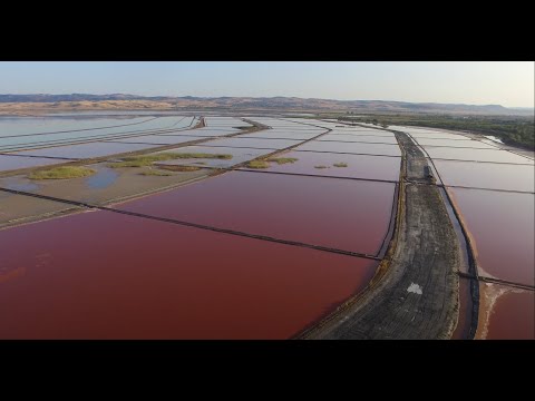 Видео: Бригада Атанасовско езеро 2017