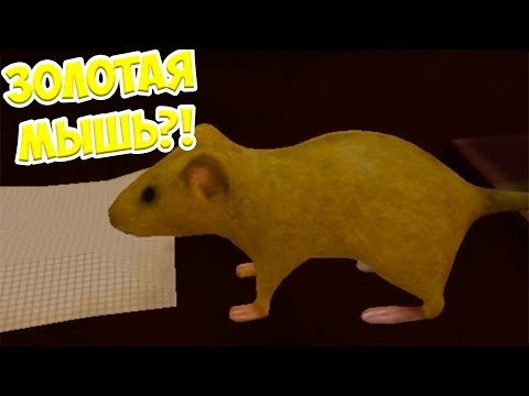 Видео: 🐁СИМУЛЯТОР МЫШИ😍Золотая мышь🐭Ухаживаю за питомцем Мышка