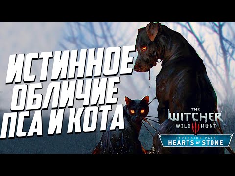 Видео: Истинное обличие пса и кота Ведьмак 3 | 15 Тайн и Секретов DLC «Каменные сердца» - часть 4