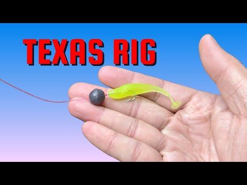 Видео: 💯 Эта техасская оснастка заставляет донную рыбу мгновенно клюнуть!