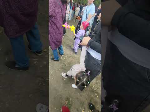Видео: #Музарт #Майқудық #2025 #Караганды 