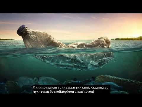 Видео: Мұхиттың ластануы