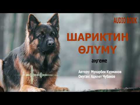 Видео: ШАРИКТИН ӨЛҮМҮ \ АҢГЕМЕ \ АУДИО КИТЕП