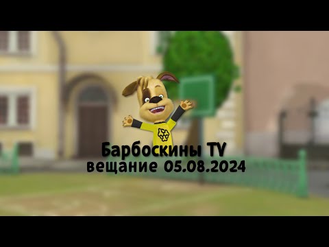 Видео: Барбоскины ТВ вещание 05.08.2024