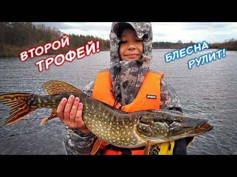Видео: Вторая трофейная щука сына! Блесна переловила все! Осенний жор щуки в ноябре | Рыбалка осень 2017