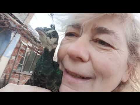 Видео: Не тільки працюємо 👍 а і відпочиваємо🍄‍🟫🍄‍🟫🍄‍🟫🌳🌲🌲🌳🇺🇦