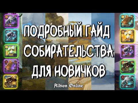 Видео: БЫСТРАЯ ПРОКАЧКА СОБИРАТЕЛЬСТВА | ALBION ONLINE | ГАЙД ДЛЯ НОВИЧКА | АЛЬБИОН ОНЛАЙН | СОБИРАШКА