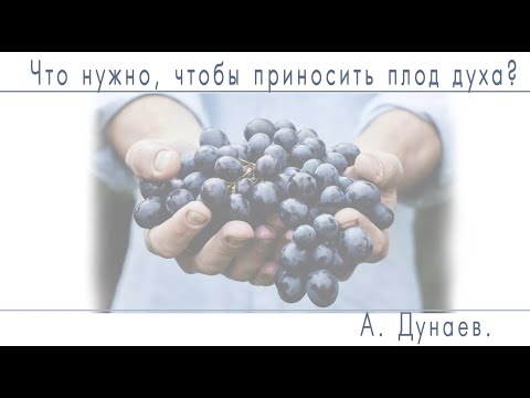 Видео: 04 09 2025 А. Дунаев. Тема: Что нужно, чтобы приносить плод духа?