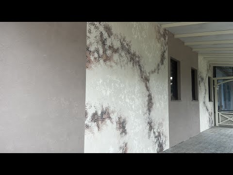 Видео: Невероятная АКЦЕНТНАЯ СТЕНА из декоративной штукатурки с трафаретами