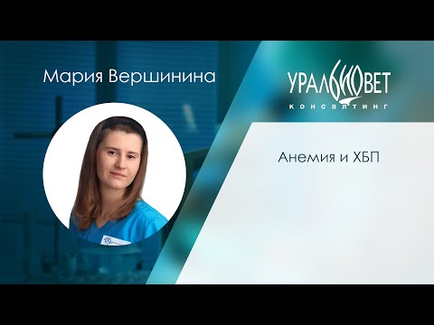 Видео: Анемия и ХБП. Мария Вершинина #убвк_терапия