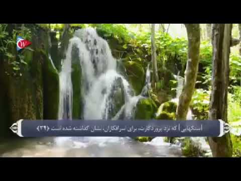 Видео: Savolu javob «6» Ҳоҷи Мирзо