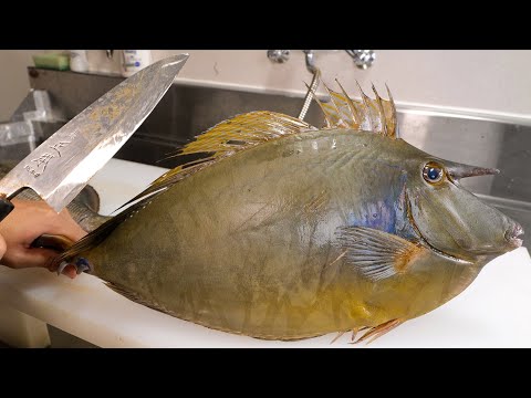 Видео: При разборке жуткой рыбы с рогами...