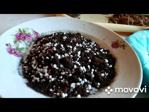 Видео: Перлит ва унинг ишлатилиши