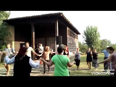 Видео: Изложба на Петър Георгиев в Долна Оряховица