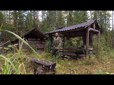 Видео: ЖИВЁМ в ТАЙГЕ ЧЕТЫРЕ ДНЯ. ВЗЯЛ СЕМЬЮ и УЕХАЛИ НА КОРДОН. ДАЛЬНЯЯ ИЗБА. РЫБАЛКА на ЩУКУ. Часть вторая